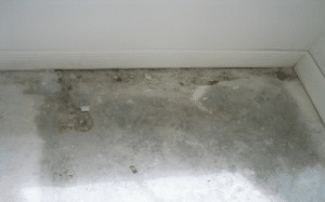 Substrate moisture